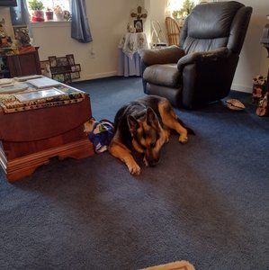 Meet your Posher, Betty